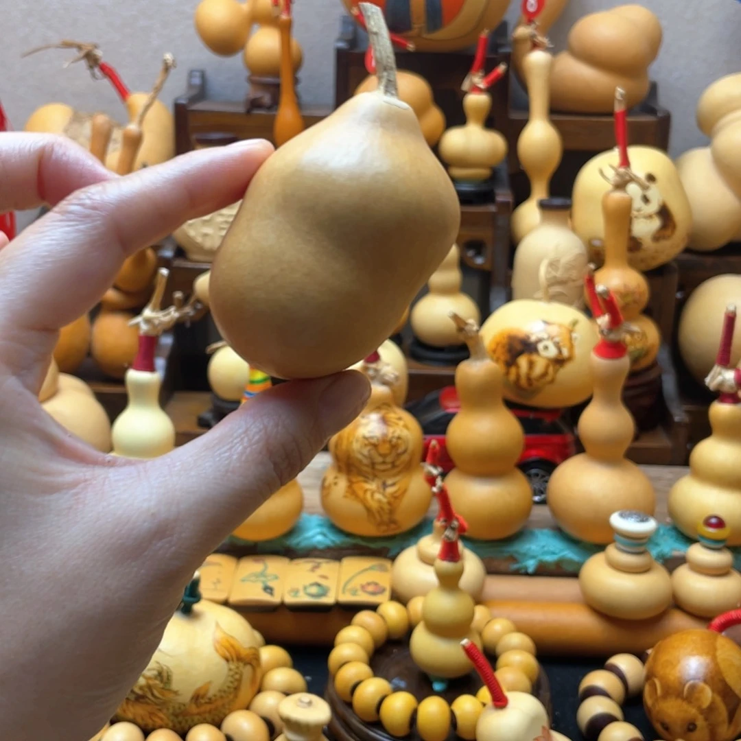 阿*_大自然的秘密第十集我来看