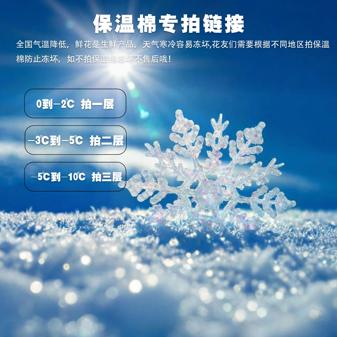 【栀子花】零下地区需要加拍保温棉不加保温棉冻坏不售后鲜花