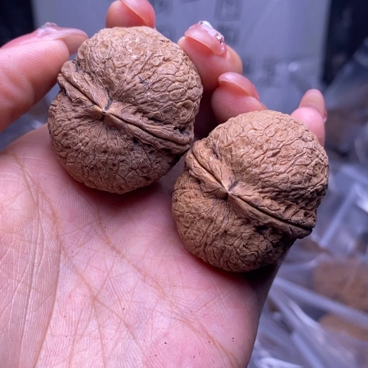 文玩核桃把件云南野生铁核桃30号37mm