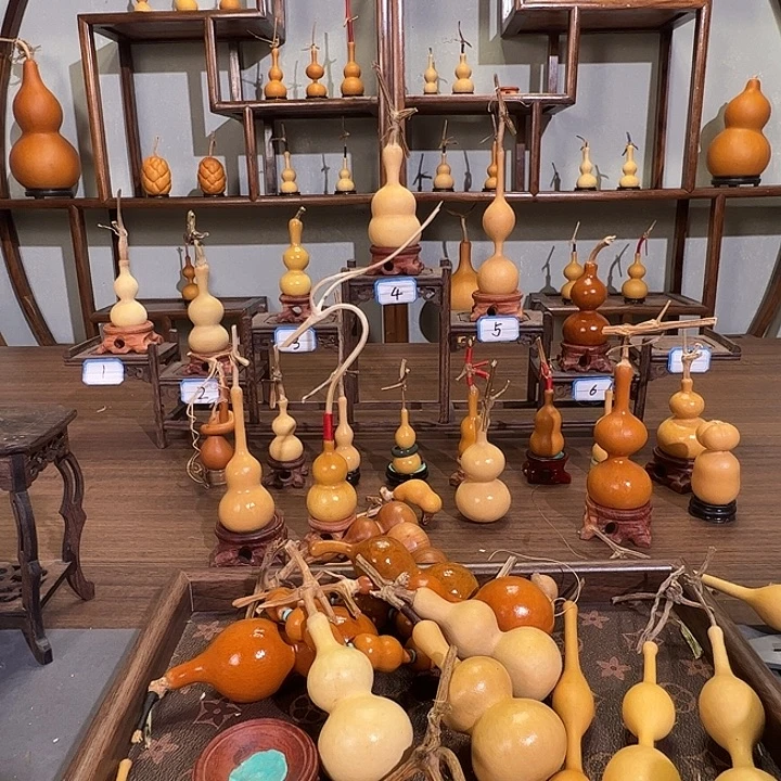 福***）有机玻璃蚂蚁蚂蚁蚂蚁蚂蚁