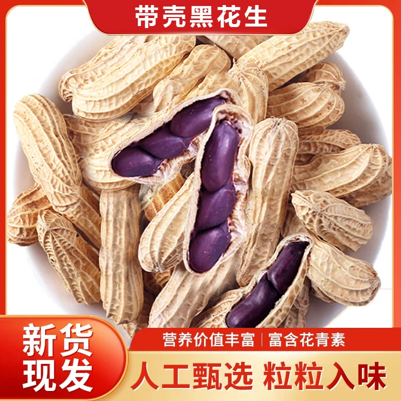 【发1斤】黑花生带壳紫花生新货精选下酒菜营养健康零食晒干原味