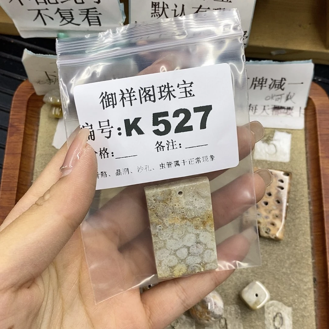 硅化珊瑚（珊瑚玉）未镶嵌颈饰-****了