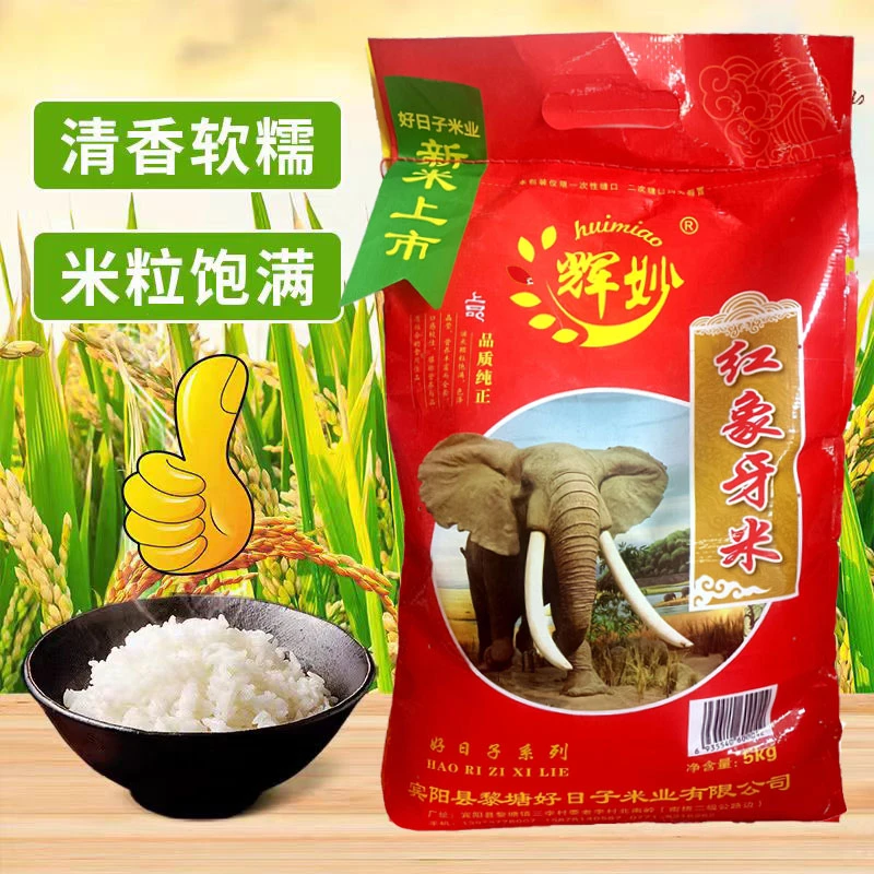 广西新米软熟丝苗大米农家南方象牙长粒香粘米正宗象牙香米10斤