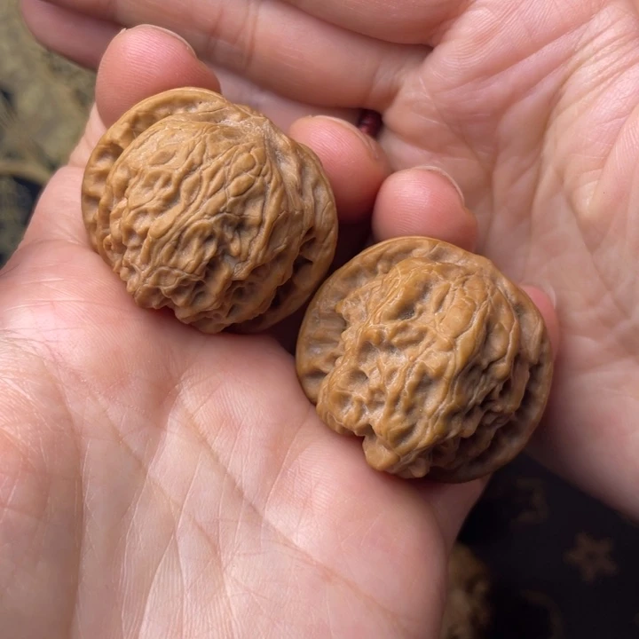 核桃野狼，特努力了一下