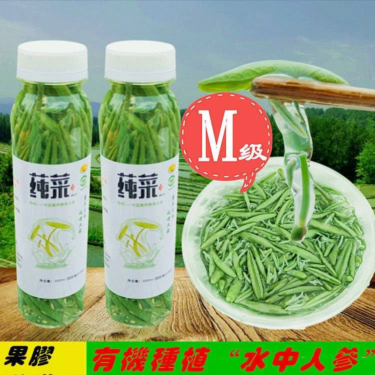石柱黄水特产新鲜莼菜非即食太湖西湖利川纯菜320克正宗商用