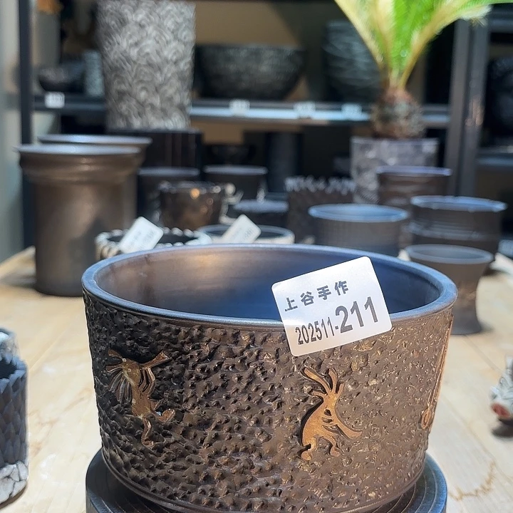 哑金内口16.5高10块根植物盆