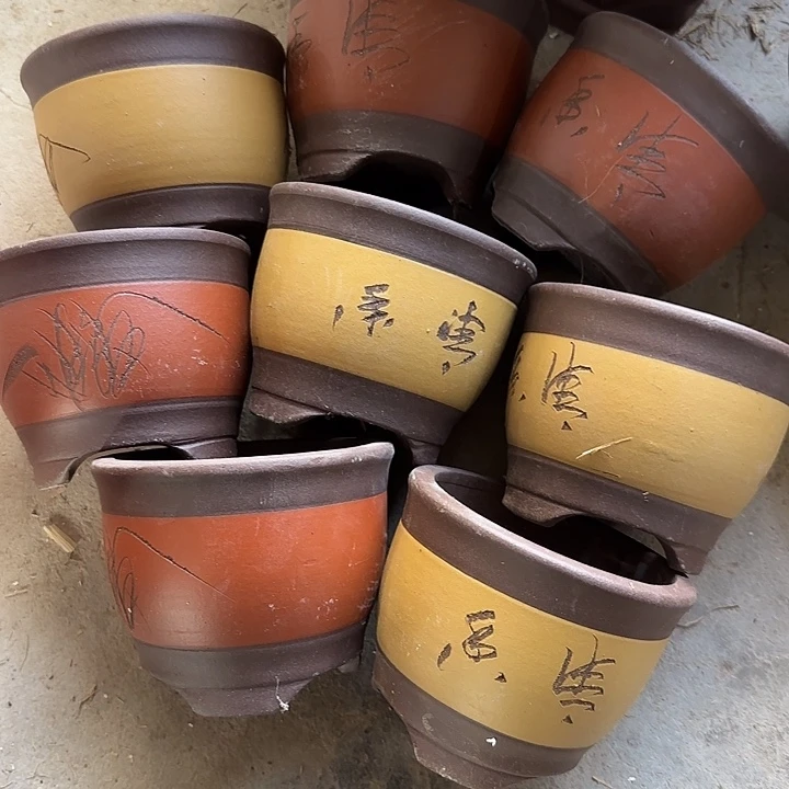 12×10八只福利价