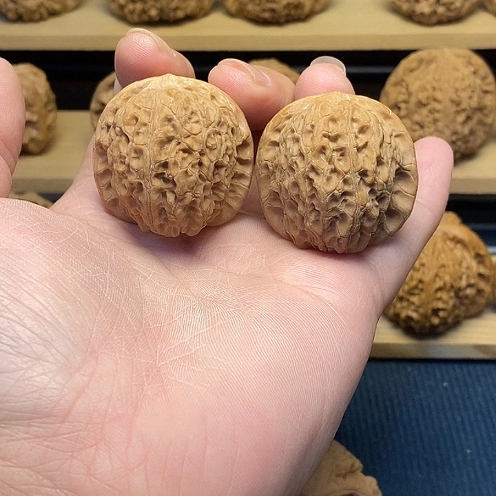 核桃37血麒麟福利核桃