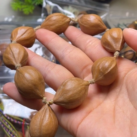 橄榄核手串/手链橄榄核15.5