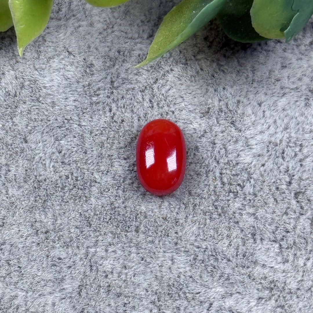 天缘绮彩天然阿卡红珊瑚6.5*10mm蛋面红珊瑚戒指戒面可定制