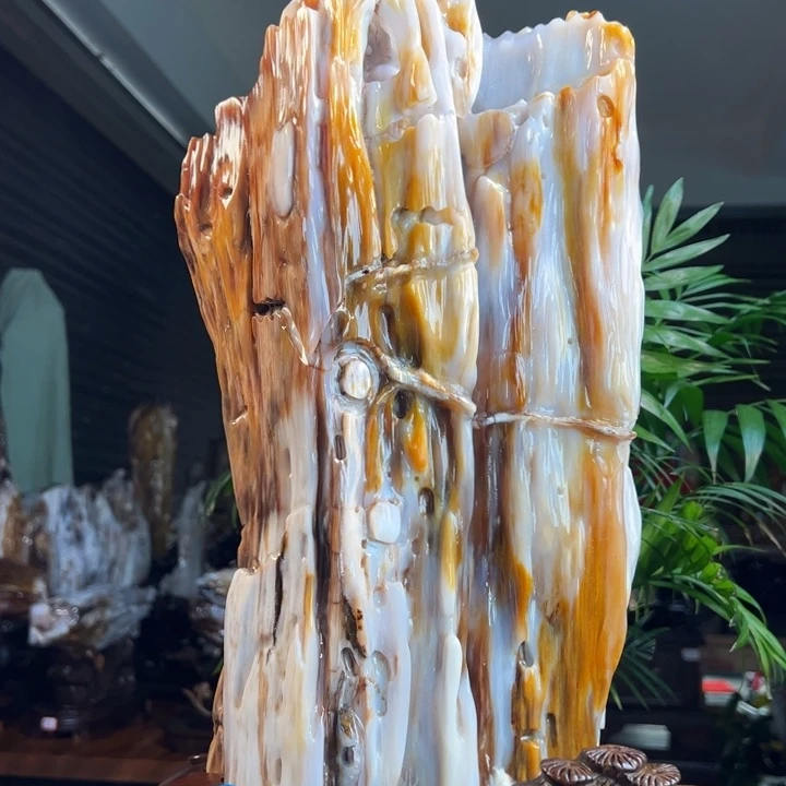 硅化玉（树化玉）未镶嵌珠宝奇石