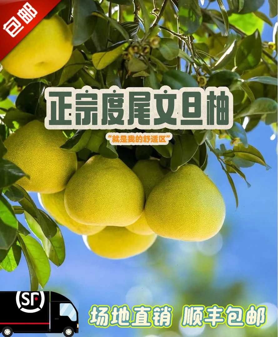 (礼盒装)福建度尾文旦柚红心蜜柚新鲜当季现摘清甜多汁孕妇水果