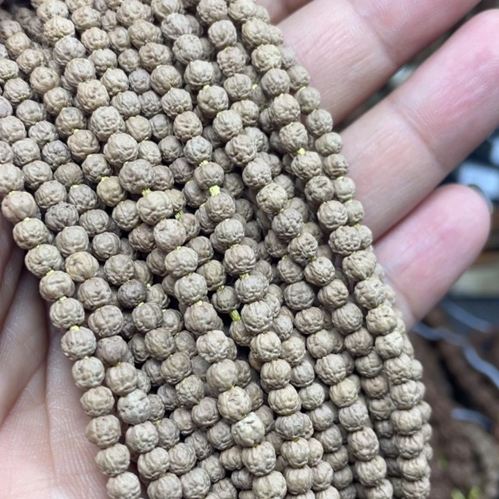 吊坠金刚菩提五爪金龙尺寸4+佛手