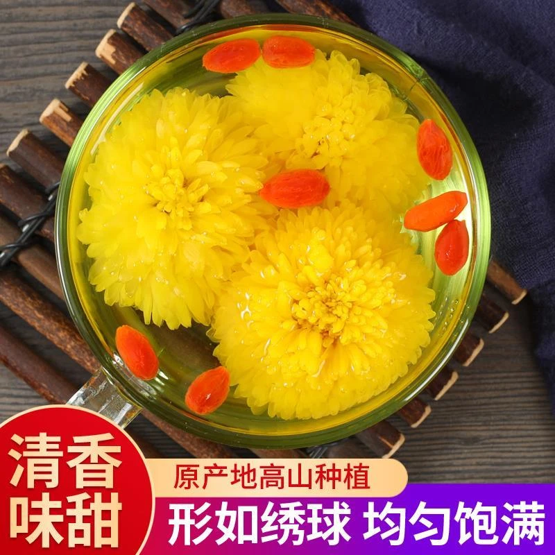 高山皇菊菊菊花茶皇菊徽州皇菊