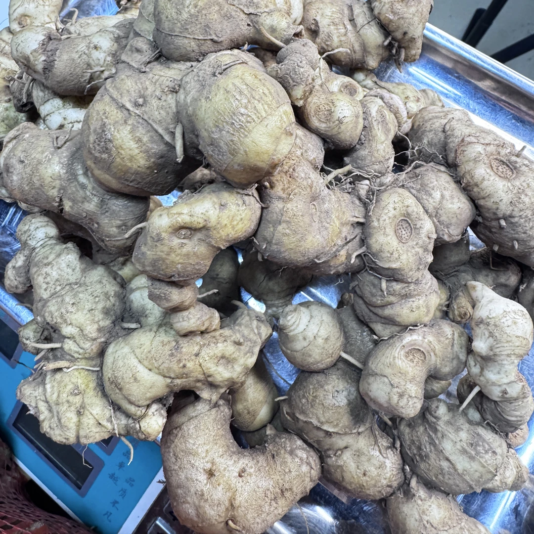 云南、怒江天然新鲜黄精干正宗天然