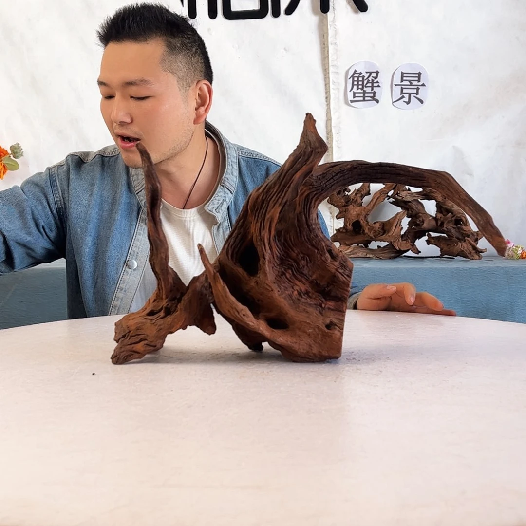 沉木造景爬宠造景