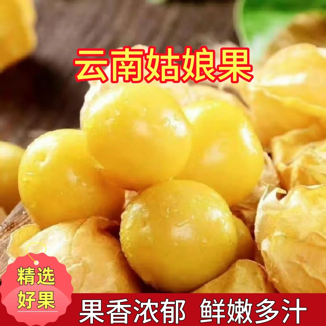 【香甜多汁】云南姑娘果灯笼果香甜可口现采现摘产地直发