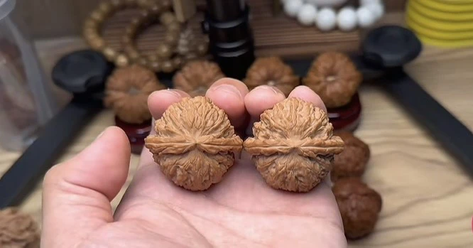 文玩核桃新店开业福利对白狮子全品仅限50对