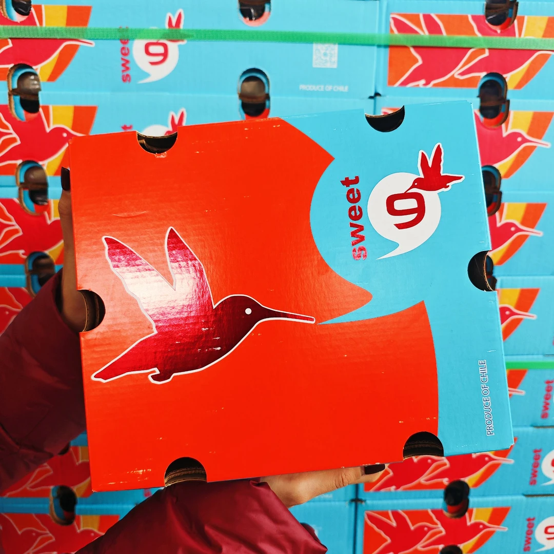 九头鸟2JDD桑提娜 智利进口海运车厘子脆甜净重5~10斤 内附果径卡