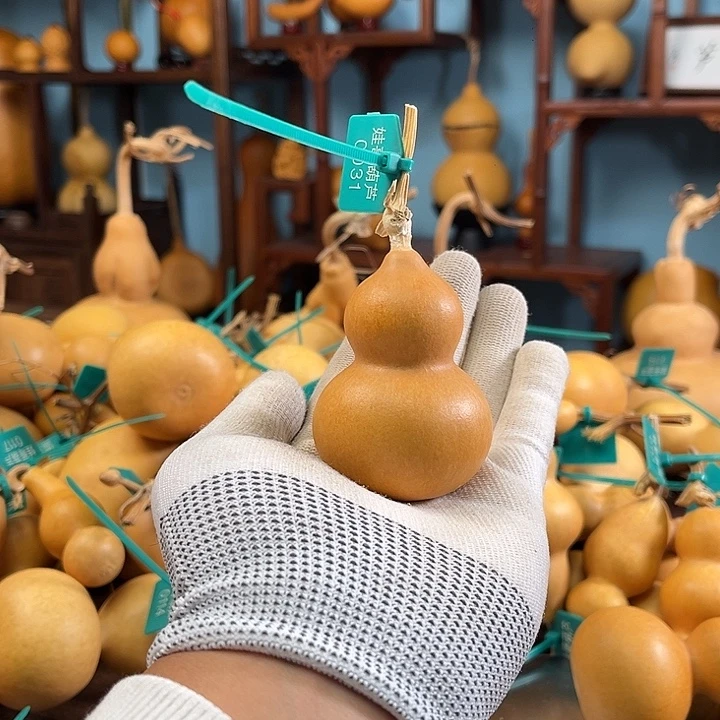 0031啊啊啊啊啊啊啊啊