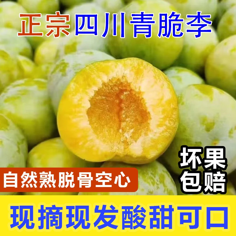 正宗四川脱骨青脆李新鲜应季水果酸甜可口