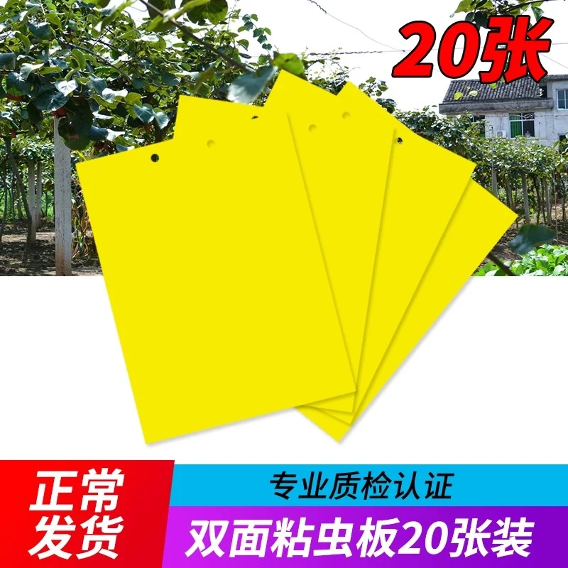 2黄色双面沾虫板贴纸强力小飞虫沾果蝇诱捕神器捉蚊子苍蝇