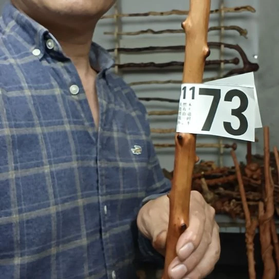 健***福香榧木高山 檬子木文玩料