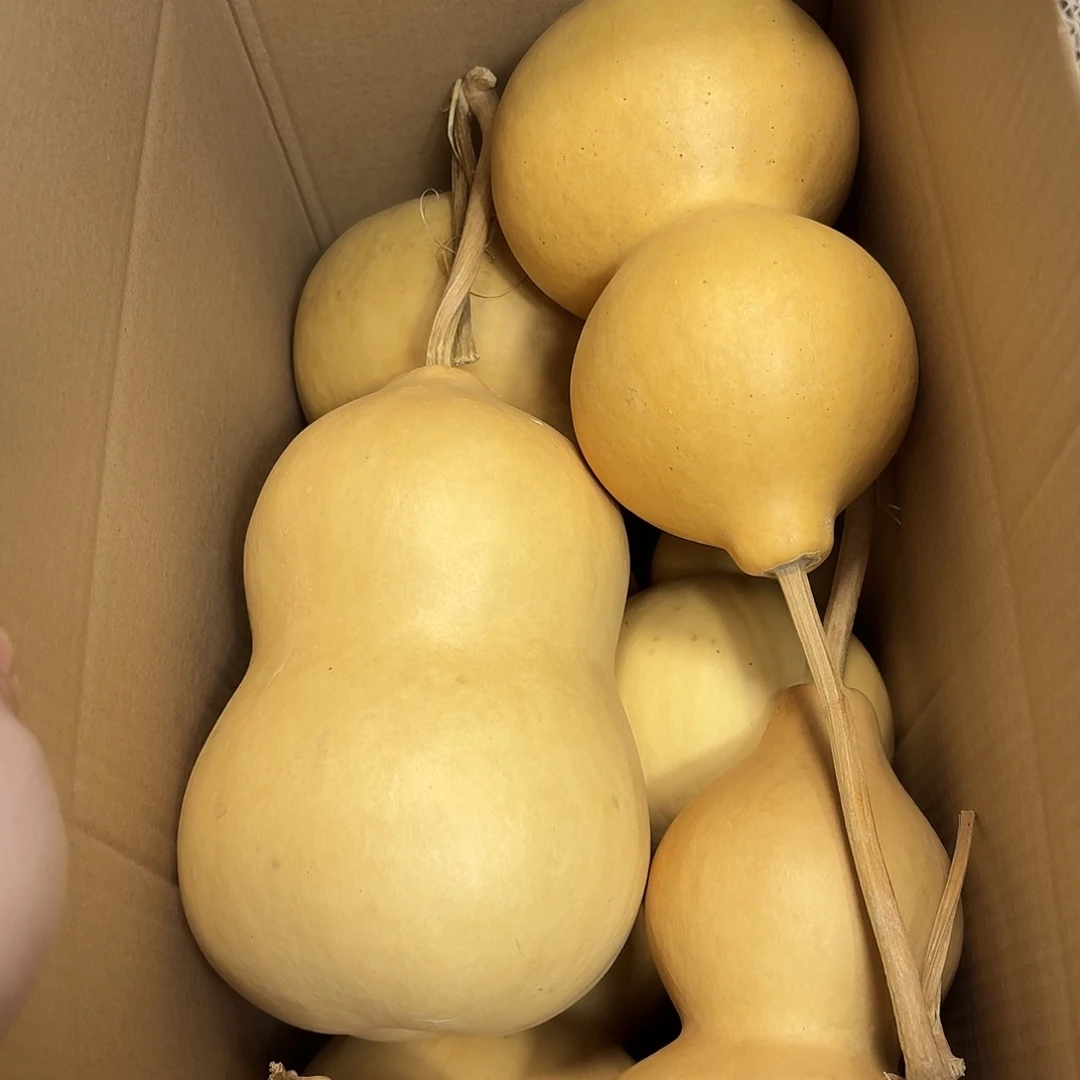 喵***肥中号伤瑕放漏不保全品不保龙头