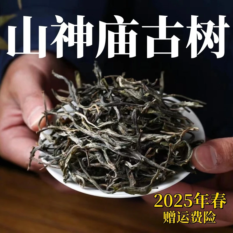 【新品首发】”山神庙古树“（老茶客拍）生普春茶 无量山霸气 茶气足