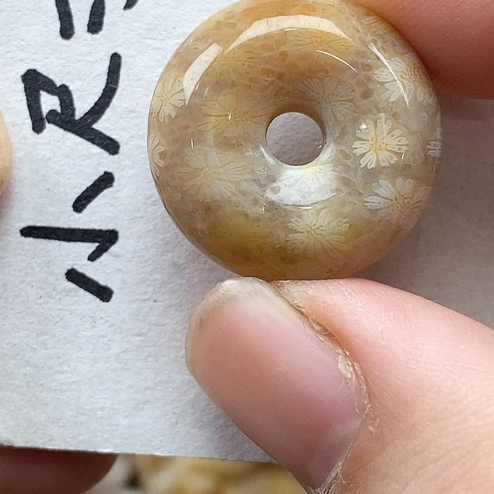 颈饰未镶嵌硅化珊瑚（珊瑚玉）