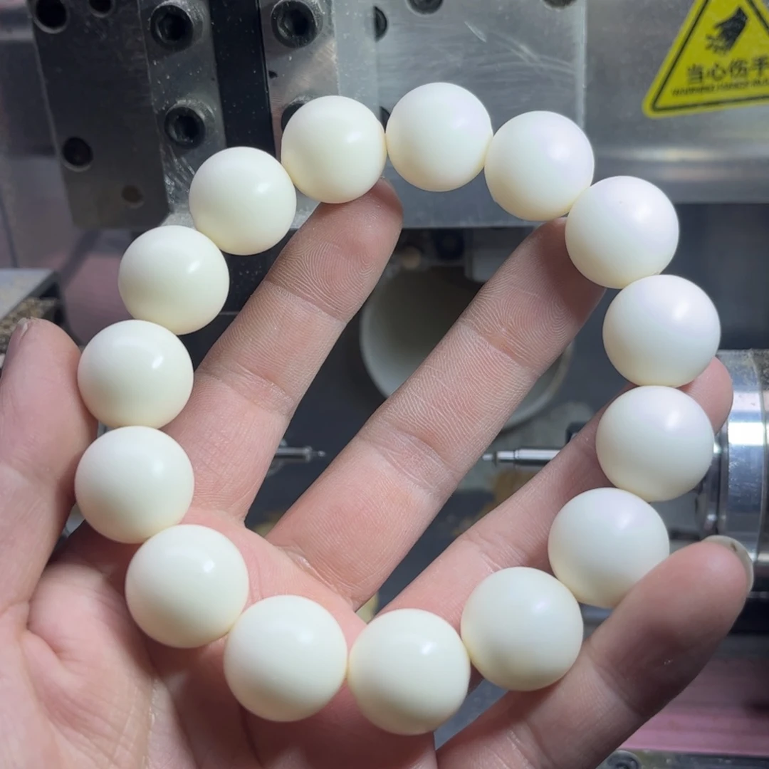 手串菩提根/象牙果