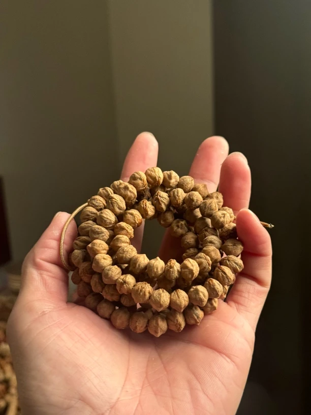 柏香籽红芽原桩大尺寸108