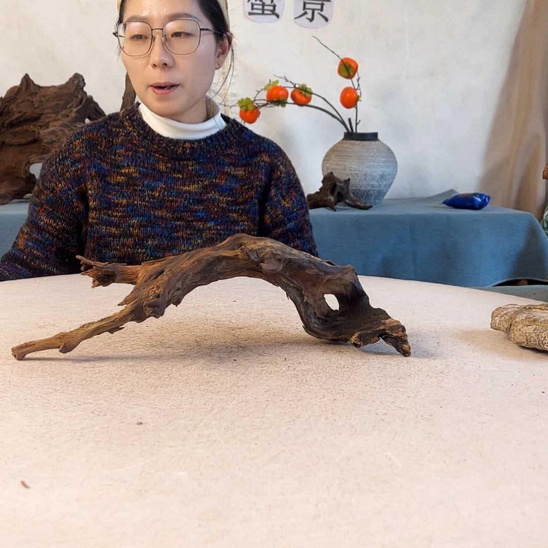 沉木造景爬宠造景