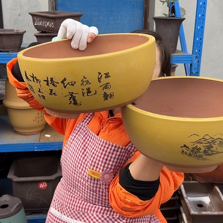 黄色江山如画中一对花盆花盆