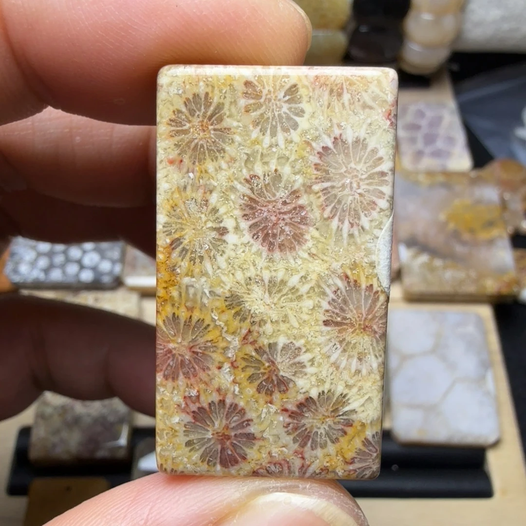 硅化玉未镶嵌纯天然色有机玉石保真色