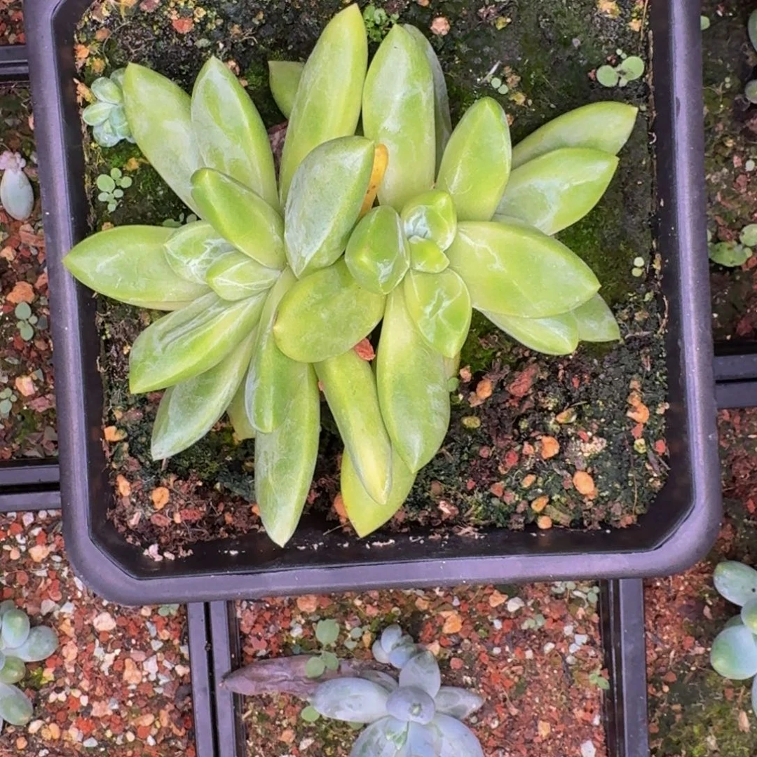 啊啊啊啊啊啊啊啊啊