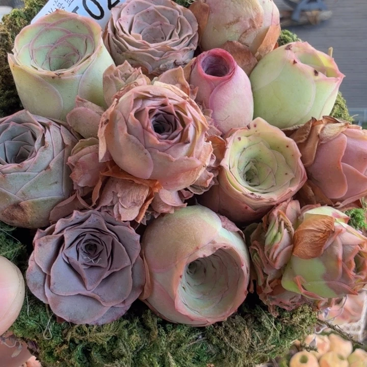 TT020 苔藓花篮玫瑰组合