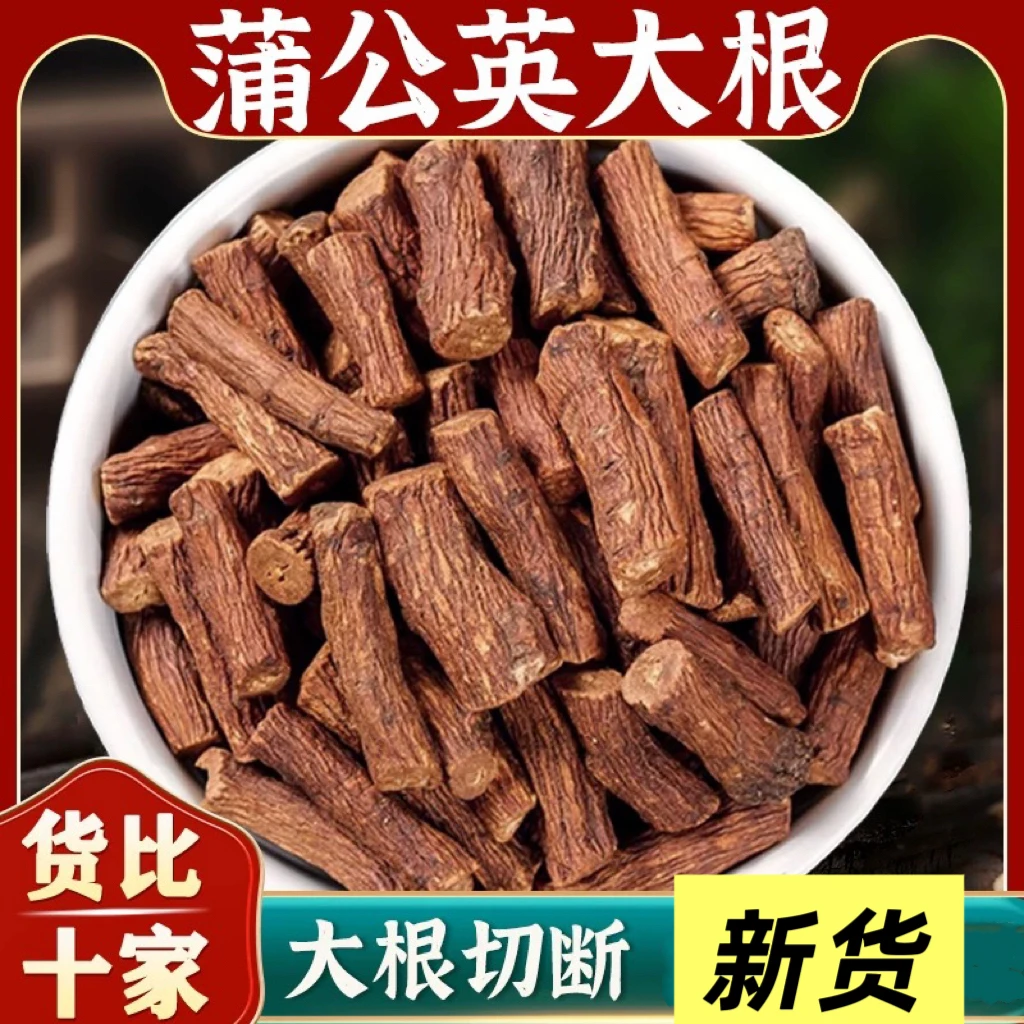 蒲公英根茶长白山蒲公英婆婆丁炒制蒲公英根蒲公英茶非枸杞