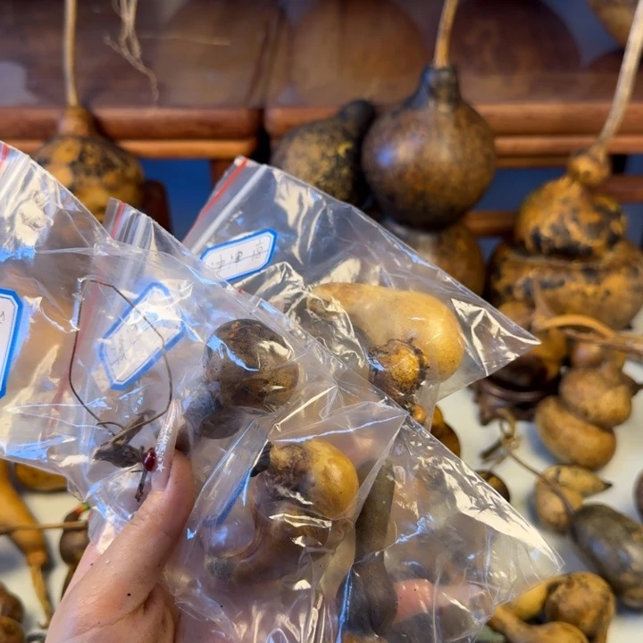 心***花大叶紫檀（黑酸枝木类）