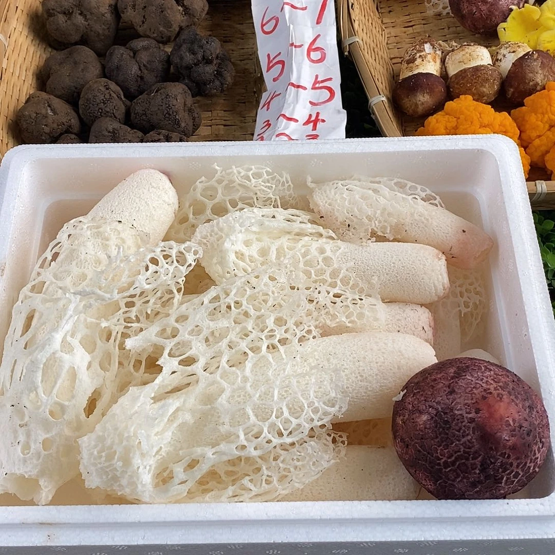 中国大陆鲜竹荪中国大陆