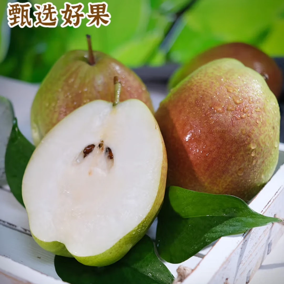 红香酥梨 薄皮青酥梨脆蜜雪梨香梨梨子当季水果新鲜整箱