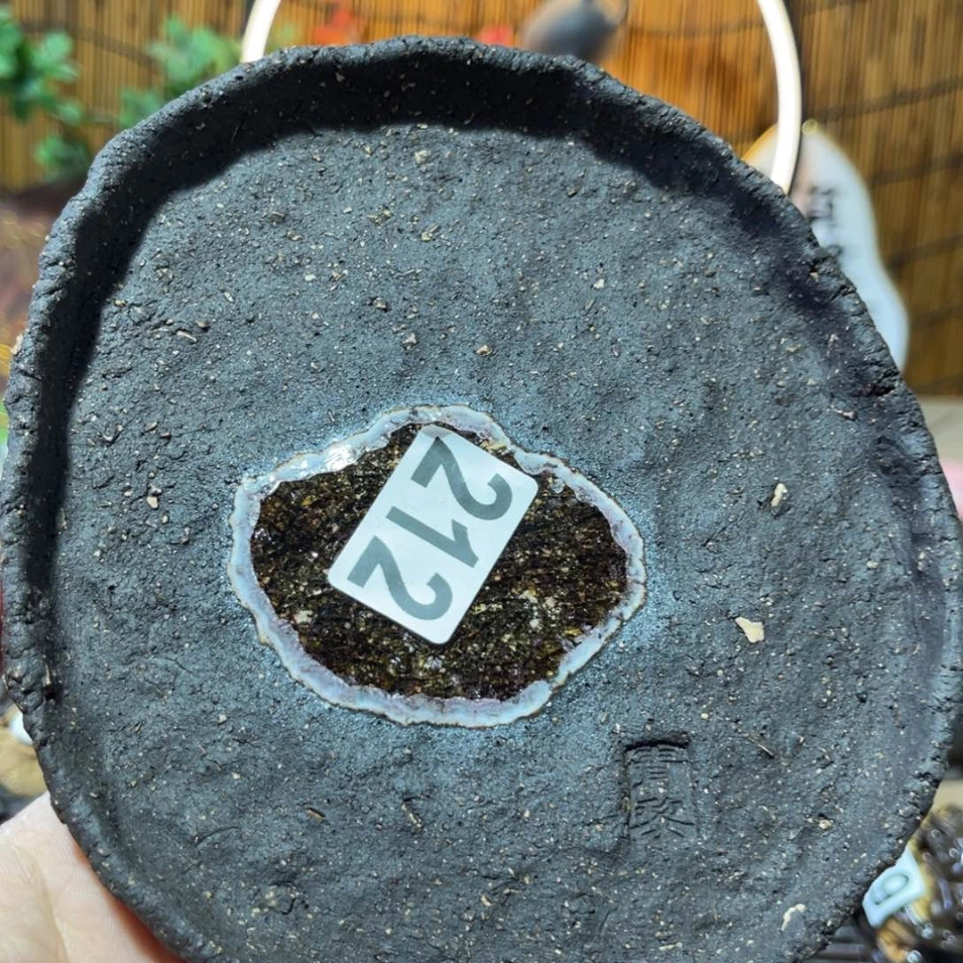 木村信弘柴烧保平