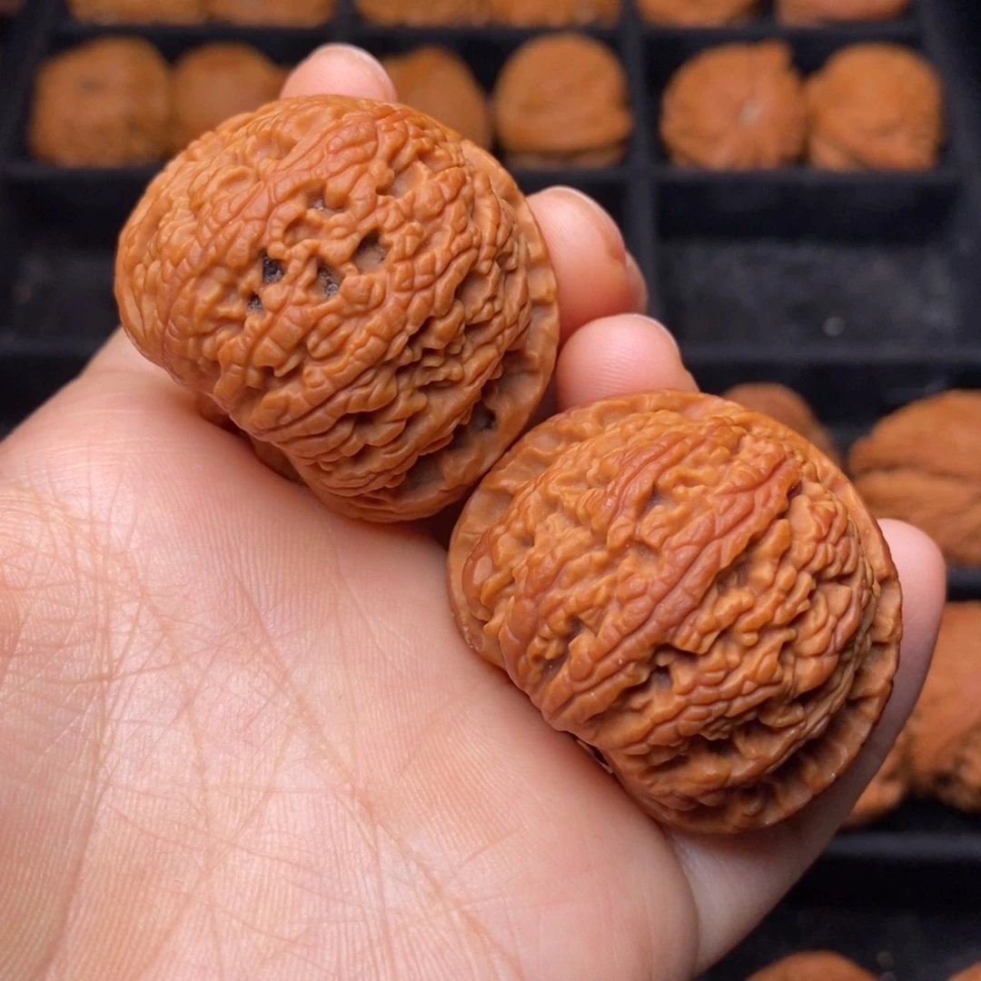 文玩核桃把件秦岭野生核桃