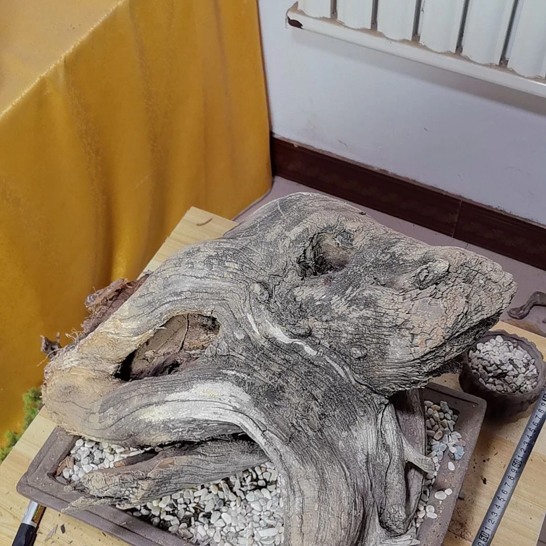 檀香紫檀（小叶紫檀）古**香