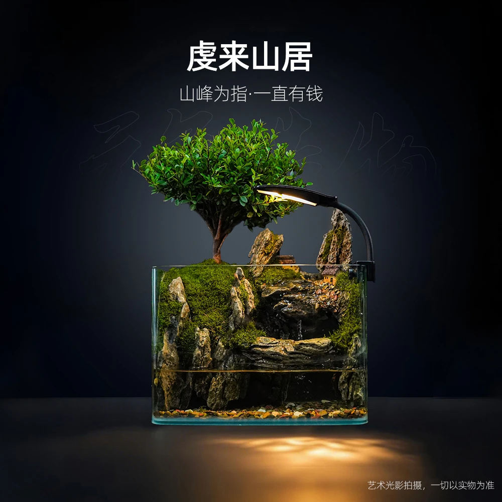 【雾隐】虔来山居—带灯内循环生态流水小叶赤楠缸尺寸25*16*18