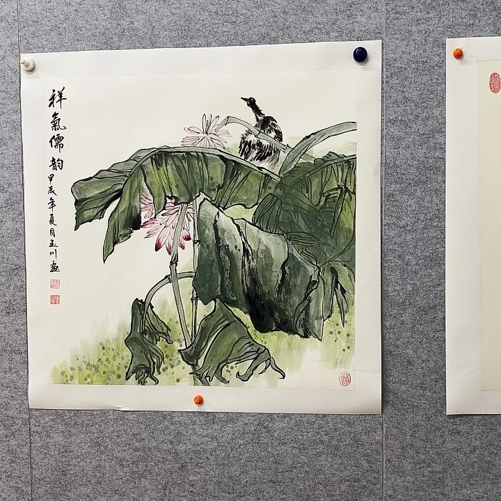 国画花鸟等多种鸟类和鸟类