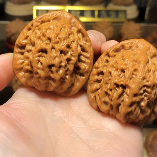 w**e精品：原桩金公子