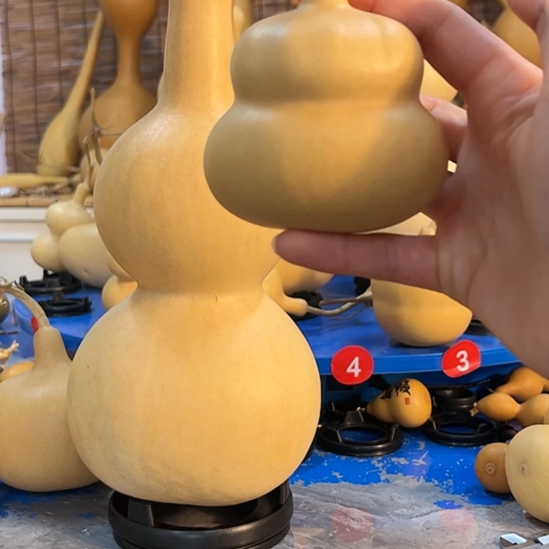 【闪购商品】✨****✨他他他他他他他他他他他