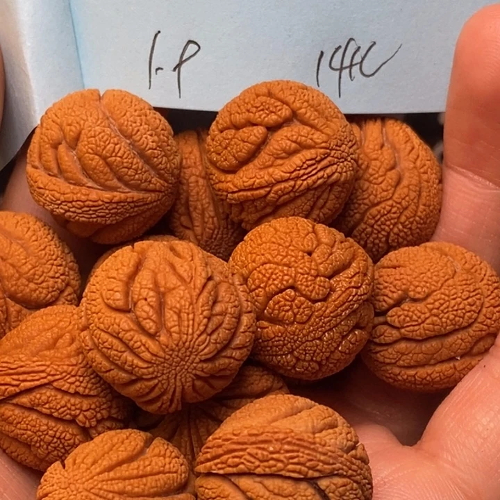 吊坠桃核秦龙纹桃核19尺寸