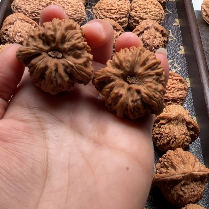 把件文玩核桃龟背南疆37